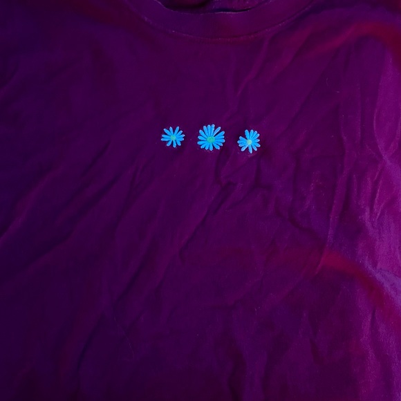 Hollister Must Have Collection - Picture 3 of 5